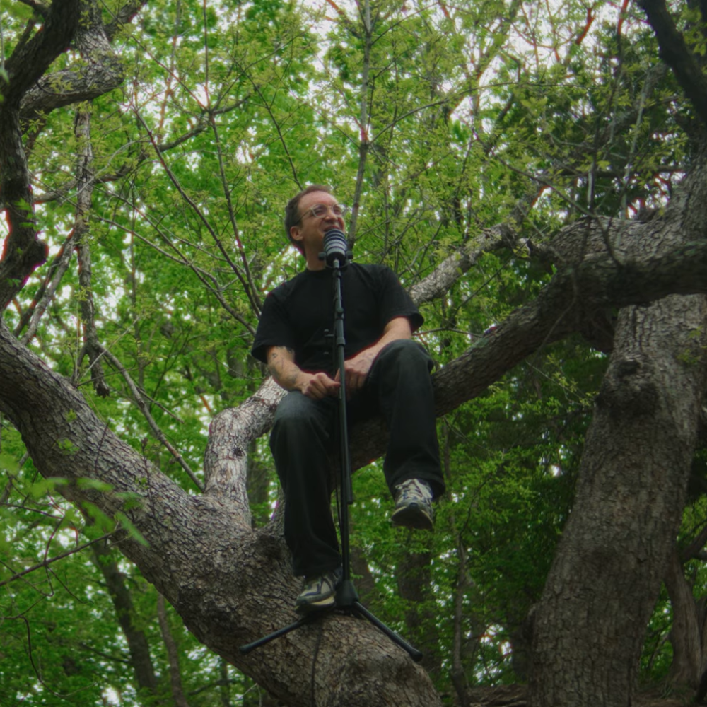 Cover image for The World on the Far Side of the Wood